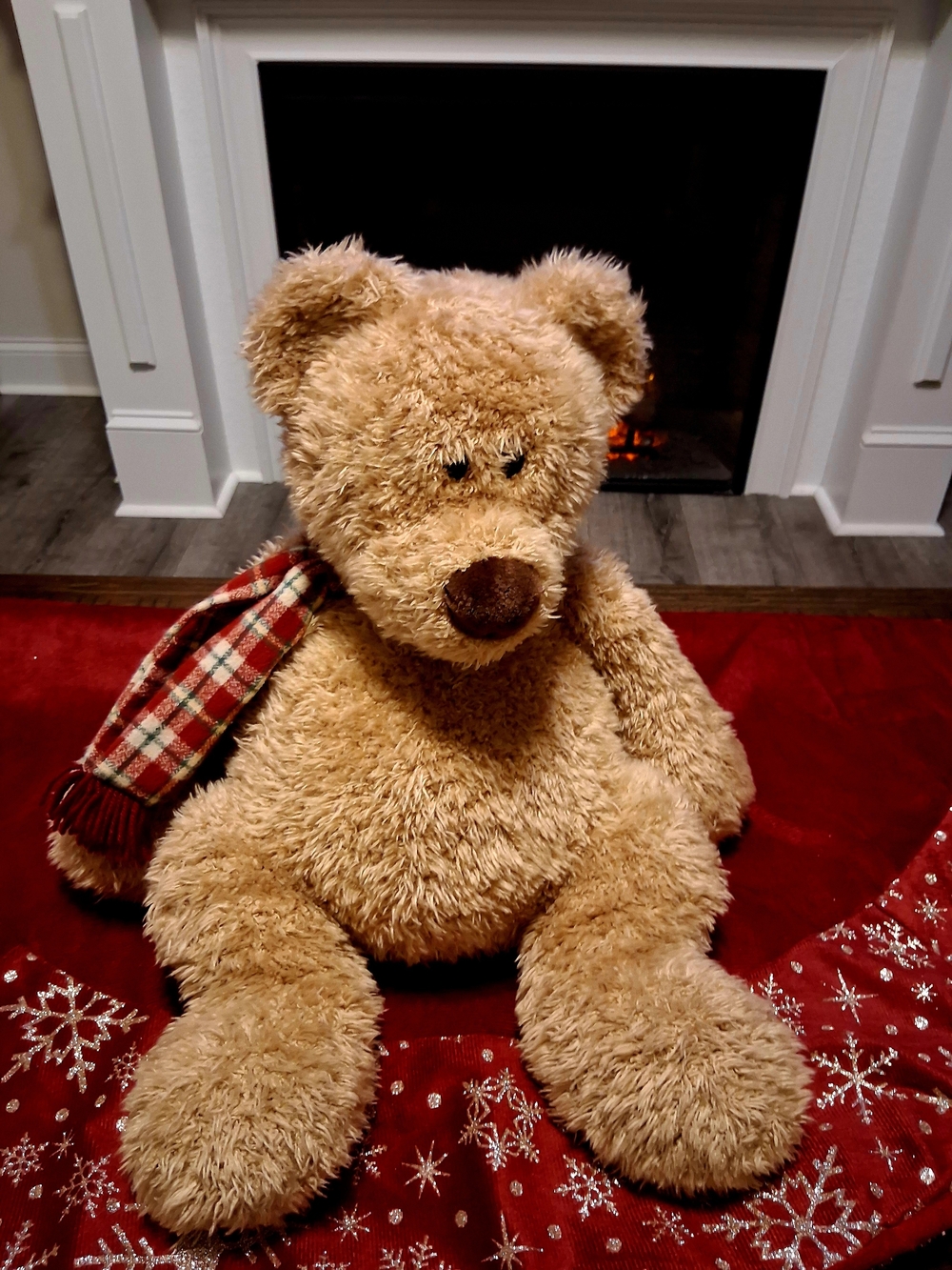 Gund Winter Bear - Picture 4 of 5
